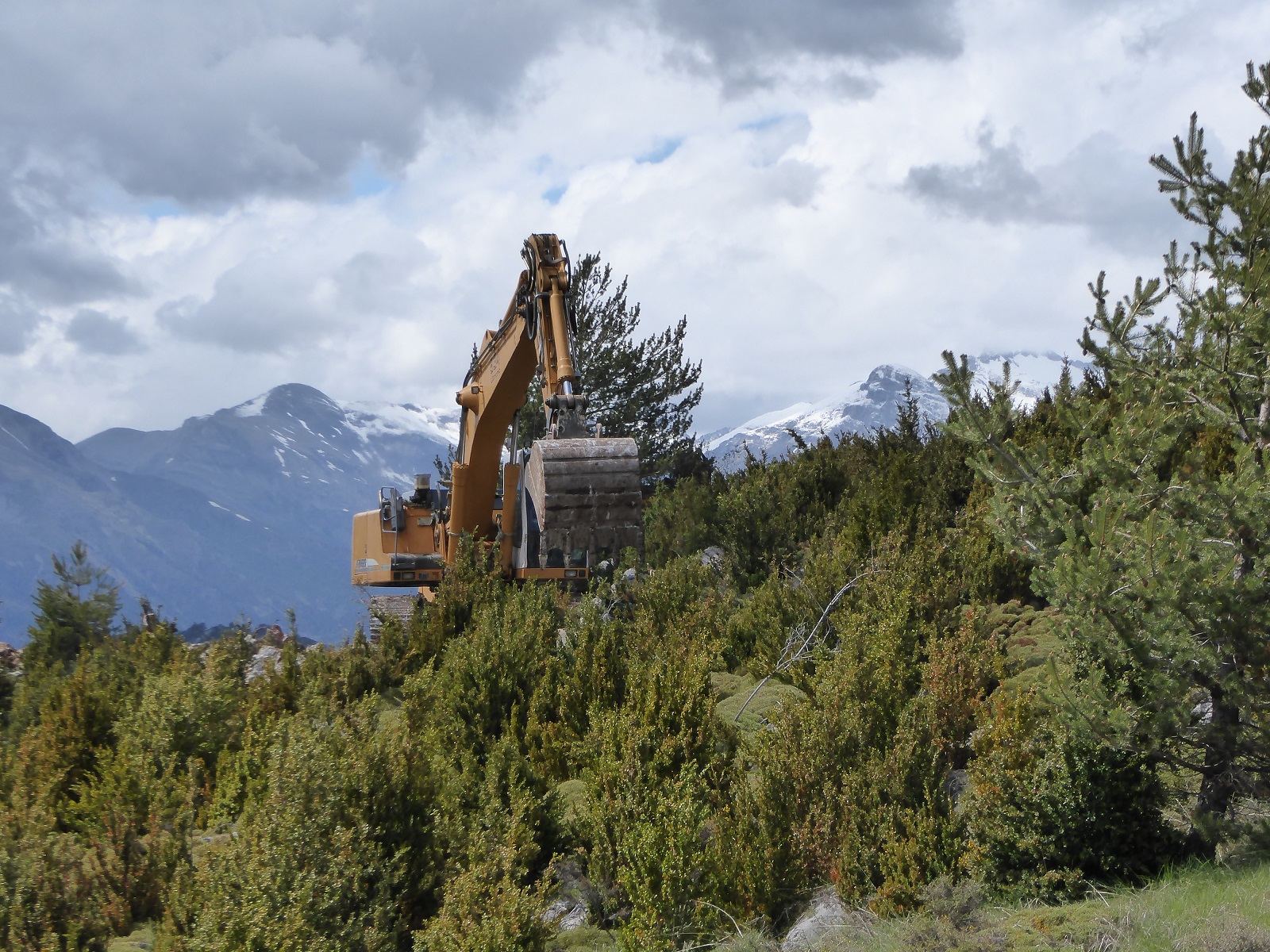 Control y seguimiento arqueológico en el entorno de la cueva prehistórica de Els Trocs (Bisaurri, Huesca). A. Alagón. ARQUEOPLUS. 2017.