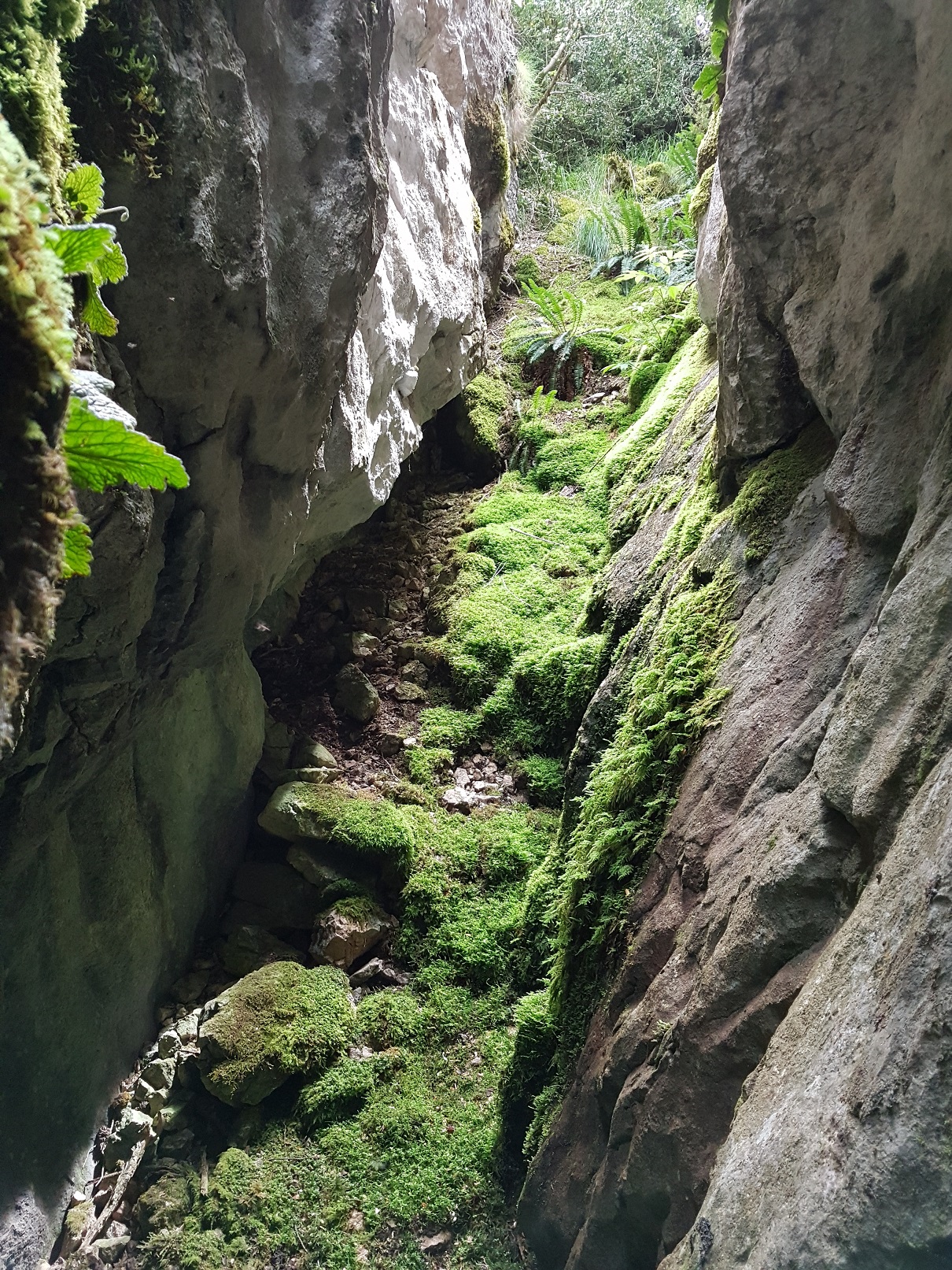 Sima Veri IV. Localizada en prospección en 2017. A. Alagón. ARQUEOPLUS 2017.